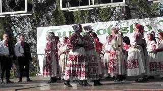 preview picture of video 'Turopoljsko jurjevo lukavec 2012.'