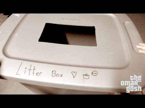 HOW TO MAKE THE BEST LITTER BOX EVER! (DOG PROOF)