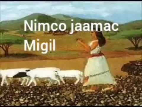 Nimco jaamac : heeskii Waxaan ahay xariir