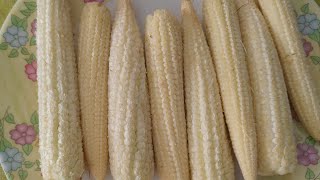 Baby corn 65/quick &amp; instant snack recipe/babycorn65 in 10 minutes/simple evening tea time snack