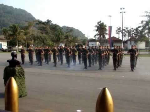 Ordem Unida sem comando 2 Grupo de Artilharia Antiaérea