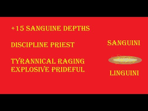 +15 Sanguine Depths | Discipline Priest | Tyrannical Raging Explosive Prideful