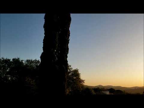 European Jazz Ensemble (feat, Philip Catherine & Enrico Rava), Nürnberg (1989)