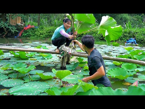, title : 'DAU & TU'S STORY: Building a beautiful lotus garden on the farm - Forest life skills DT'