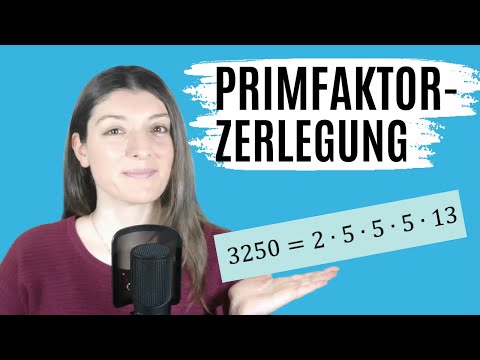 Was ist eine PRIMFAKTORZERLEGUNG? (Primfaktorzerlegung EINFACH erklärt! )