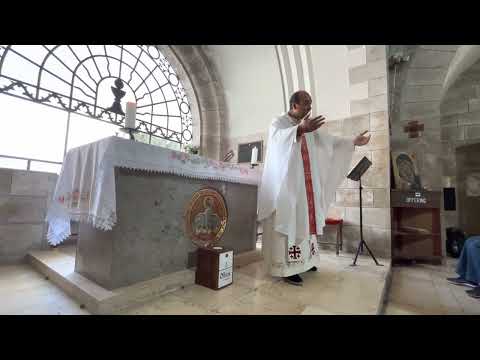 Peregrinación Tierra Santa 2022 -Dominus Flevit - Custodia Terrae Sanctae