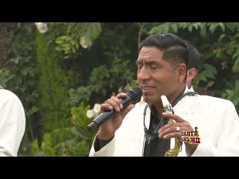 LOS SUPER BRILLANTES DEL ANDE.     TEMA : PERDÓNAME