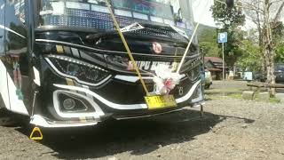 Download lagu Story wa bus kupu kupu ayu jaguar ||FREE MENTAHAN mp3