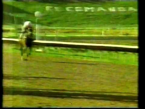 Verset's Jet - Documental sobre la Copa Confraternidad de 1994