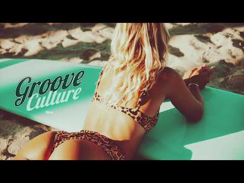 House Disco Funky Soulful Deep Summer Mix | Groove Culture Music Collection Vol.1