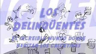 El increible mundo donde habitan los calcetines