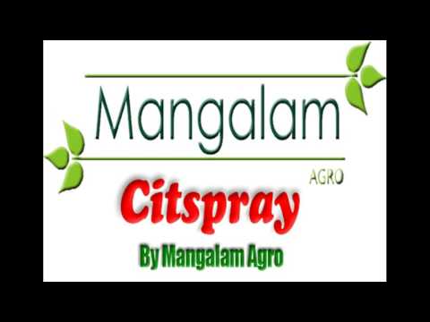 99% liquid essential juniper berry oil