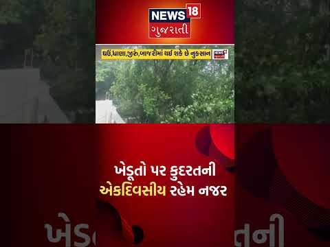 કમૌસમી વરસાદની આગાહીથી તાત નારાજ | rain | monsoon | farmers | News18 Gujarati #shorts