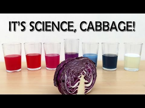 EXPERIMENT DIY PH indicator from red cabbage | What the Hack #22