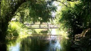 David Donaldson - I'll Always Be There