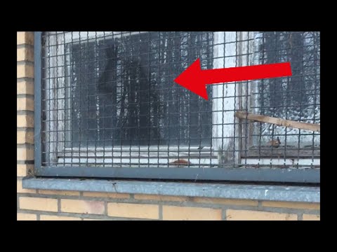 Verfluchtes Haus, in dem es spukt. Geist am Fenster!