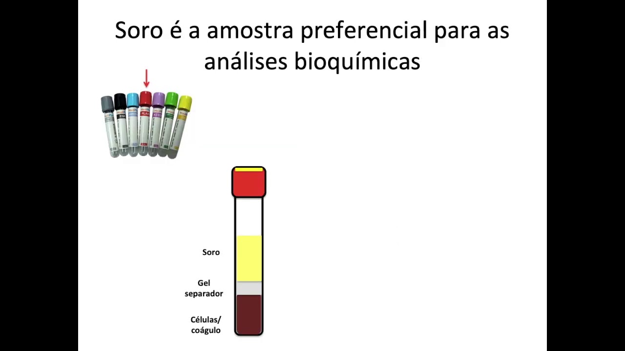 S01_V02 - Fase pré-analítica