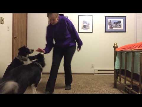 Felix moving nose target (Idgie station)