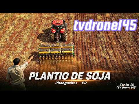 PLANTIL DE SOJA EM PITANGUEIRAS PR.