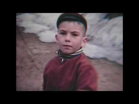 Mon amie Souffrance - Zugzwang