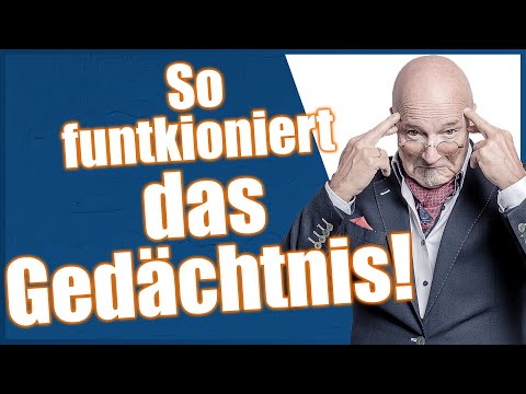 Langzeitgedächtnis einfach erklärt