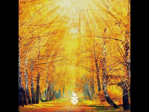 Tom Strobe - Where are you now