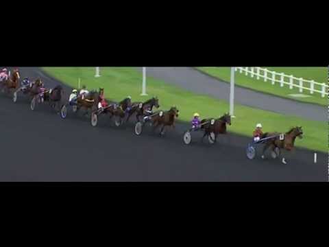 Prix Jean Dumouch 2012_Juggle Face_P. Vercruysse