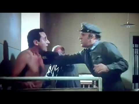 UN DITO IN CULO (IL REGOLAMENTO)