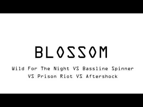 Wild For The Night VS Bassline Spinner VS Aftershock JAUZ Mashup At Parookaville [BLOSSOM Remake]