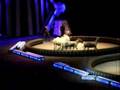 Zebra Circus