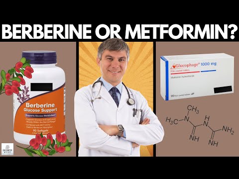 Berberine vs Metformin (Glucophage) – A Doctor Reveals Which One To Choose In 2022!