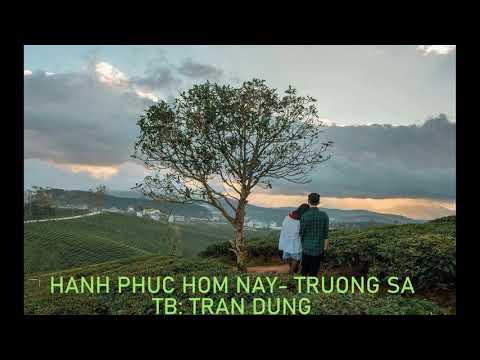 Hạnh phúc hôm nay 1 - Dũng Trần