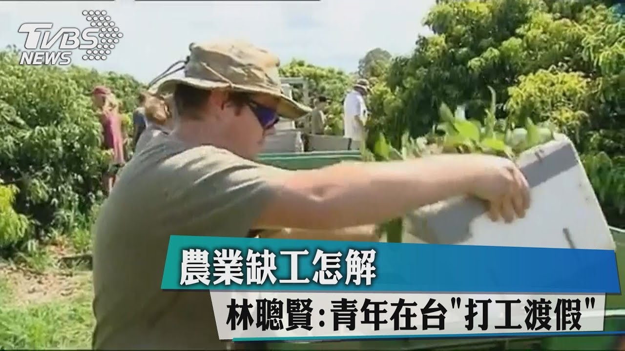 農業缺工怎解? 林聰賢:青年在台「打工度假」
