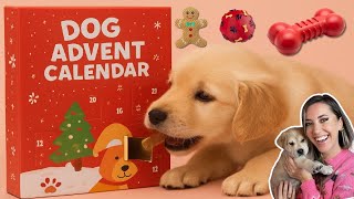 Unboxing a Christmas Dog Calendar with my Puppies!