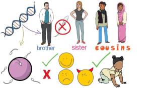 Why does Islam permit the marriage of cousins if genetics shows that this practice could be harmful?