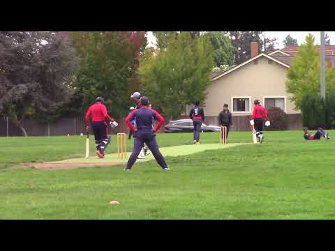 NCCA Cricket -  Bay Thunder Disruptors vs Sunnyvale - Summer T20 - 2nd innings