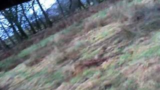 preview picture of video 'Kx 125 Helmet Cam Field Run'