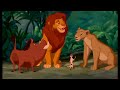 Nala Chases Pumbaa Reunion