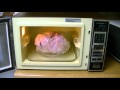 Microwave Turkey 