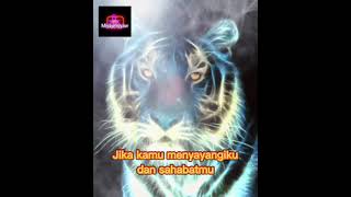 Download lagu story wa macan putih. pesan ketika malam itu. #shorts mp3