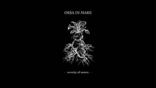 Ossa di Mare - Mandrake [SELF-RELEASED]