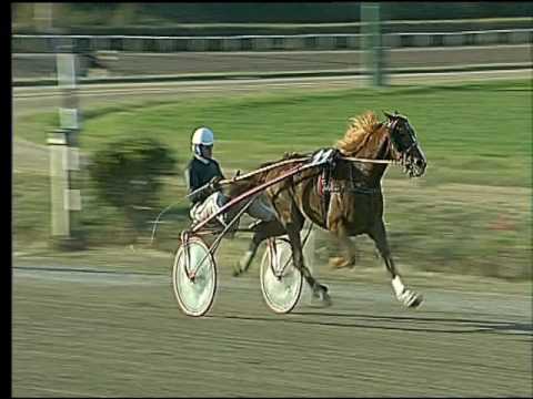 Trotto 26/02/2017 - 4ª corsa