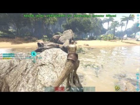 ARK: SE Schöneberger Dodowars: Auf der Suche nach Wiko