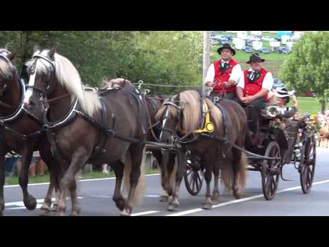Rossfest 2016 - Sankt Märgen - Festumzug