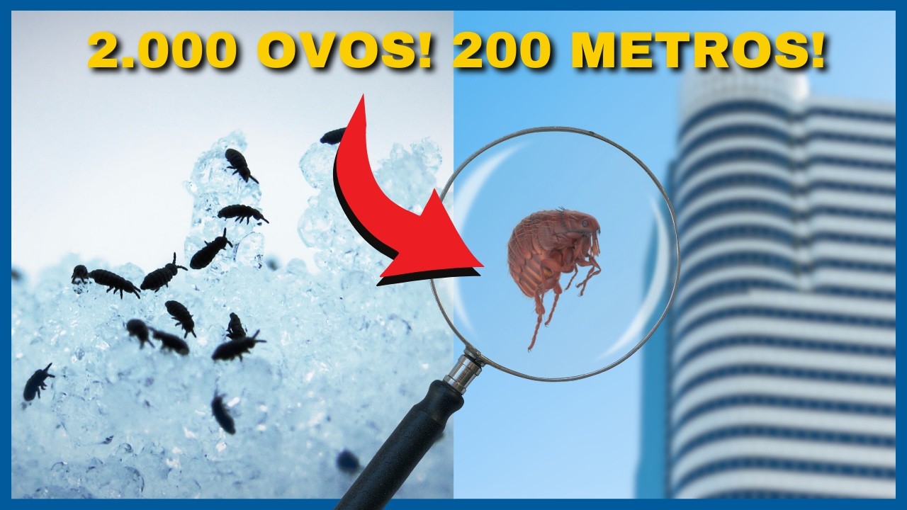 2,000 FLEAS IN YOUR HOUSE! Did you know that? 5 AMAZING UNKNOWN Facts About Dogs and Cats!