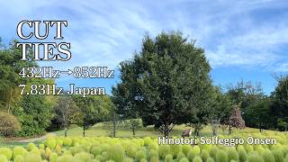 432Hz → 852Hz + 7.83Hz Cut Toxic Ties | 人間関係をリセット 邪気を手放し望む幸せへ Healing Nara Japan | 睡眠 瞑想BGM ストレス解消