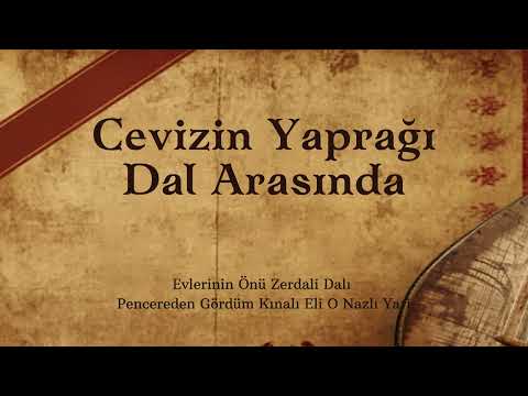 Anonim Türküler | Cevizin Yaprağı Dal Arasında