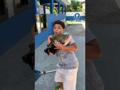 Meu primo queria o maior tamba #peixe #animal #aquarismo #historia #piscicultura