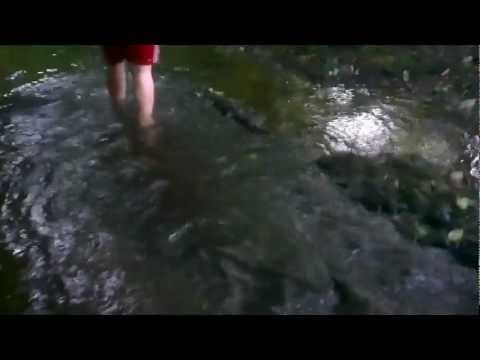 Michiii einfach geil