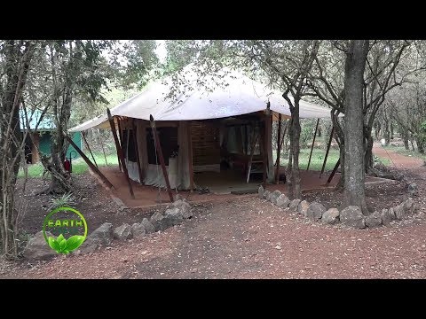 SOLAR POWER AT EMBOO RIVER ECO-CAMP | EARTH CHECK